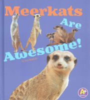 Meerkats_are_awesome_