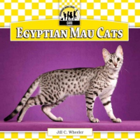 Egyptian_mau_cats