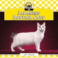 Japanese_bobtail_cats