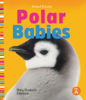 Polar_babies