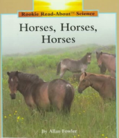 Horses__Horses__Horses