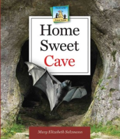 Home_sweet_cave