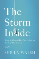 The_storm_inside