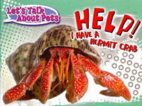 Help__I_have_a_hermit_crab