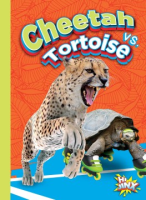 Cheetah_vs__tortoise