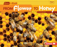 From_flower_to_honey