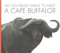 Do_you_really_want_to_meet_a_cape_buffalo_