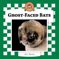 Ghost-faced_bats