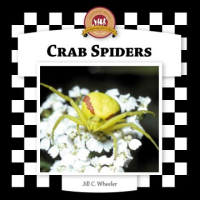 Crab_spiders